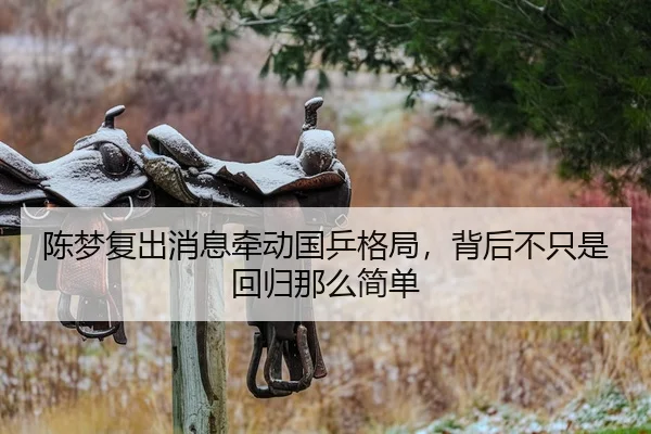 陈梦复出消息牵动国乒格局，背后不只是回归那么简单